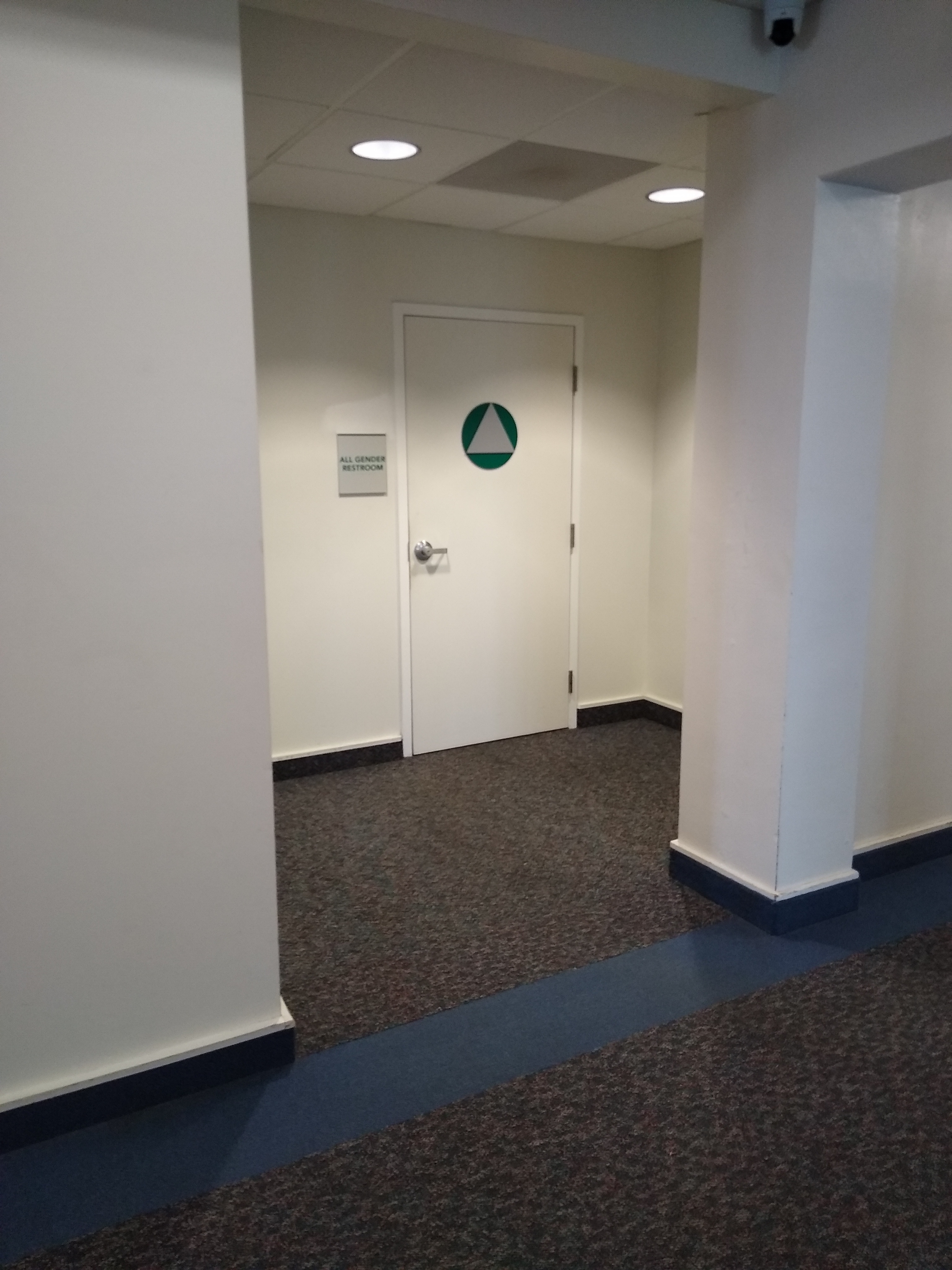 A picture of Nelson Hall East's First Floor Restroom